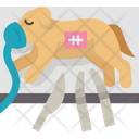 پیش‌نمایش فایل dog-9951387 از پک بیمارستان حیوانات