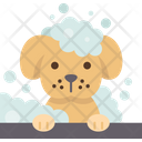 پیش‌نمایش فایل dog-9951411 از پک بیمارستان حیوانات