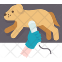 پیش‌نمایش فایل dog-9951412 از پک بیمارستان حیوانات