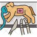 پیش‌نمایش فایل dog-9951355 از پک بیمارستان حیوانات