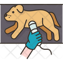 پیش‌نمایش فایل dog-9951380 از پک بیمارستان حیوانات