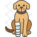 پیش‌نمایش فایل dog-9951384 از پک بیمارستان حیوانات