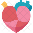 پیش‌نمایش فایل heart-10564677 از پک اهدا عضو بدن