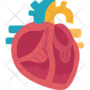 پیش‌نمایش فایل heart-10564679 از پک اهدا عضو بدن