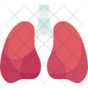 پیش‌نمایش فایل lungs-10564684 از پک اهدا عضو بدن