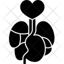 پیش‌نمایش فایل organ-10564716 از پک اهدا عضو بدن