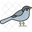 پیش‌نمایش فایل bird-9100963 از پک بهار