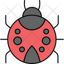 پیش‌نمایش فایل ladybug-9100983 از پک بهار
