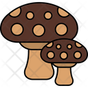 پیش‌نمایش فایل mushrooms-9100986 از پک بهار