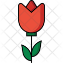 پیش‌نمایش فایل tulip-9101005 از پک بهار