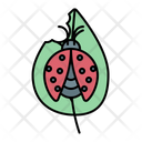 پیش‌نمایش فایل ladybug-2997983 از پک بهار
