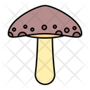 پیش‌نمایش فایل mushroom-2997982 از پک بهار