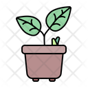پیش‌نمایش فایل plant-pot-2997979 از پک بهار