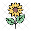 پیش‌نمایش فایل sunflower-2997972 از پک بهار