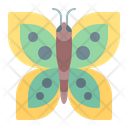 پیش‌نمایش فایل butterfly-2998017 از پک بهار
