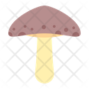 پیش‌نمایش فایل mushroom-2998007 از پک بهار