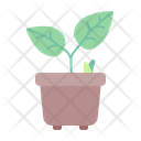 پیش‌نمایش فایل plant-pot-2998004 از پک بهار