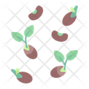 پیش‌نمایش فایل seed-2998002 از پک بهار