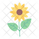 پیش‌نمایش فایل sunflower-2997997 از پک بهار
