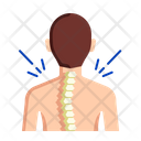 پیش‌نمایش فایل bone-structure-7602509 از پک آسیب‌ها و شکستگی‌ها
