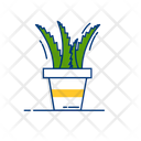 پیش‌نمایش فایل aloevera-1436883 از پک باغبانی