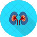 پیش‌نمایش فایل kidney-34 از پک پزشکی - مجموعه 1