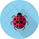 پیش‌نمایش فایل ladybug-25 از پک آیکن حیوانات
