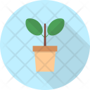 پیش‌نمایش فایل plant-279 از پک داخلی و آیکن مبلمان