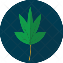پیش‌نمایش فایل cassava از پک آیکن سبزیجات