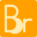پیش‌نمایش فایل adobe-bridge-5 از پک لوگوها