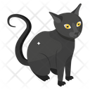پیش‌نمایش فایل black-cat-5302127 از پک فصلی