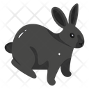 پیش‌نمایش فایل bunny-5302183 از پک فصلی