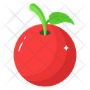 پیش‌نمایش فایل cherry-5302205 از پک فصلی