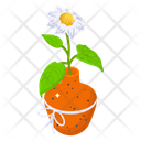 پیش‌نمایش فایل potted-flower-5302171 از پک فصلی