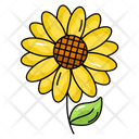 پیش‌نمایش فایل sunflower-5289738 از پک متفرقه