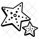 پیش‌نمایش فایل starfish-5413107 از پک طرح سفر