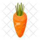 پیش‌نمایش فایل carrot-5470754 از پک غذا