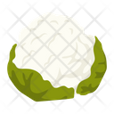 پیش‌نمایش فایل cauliflower-5470748 از پک غذا