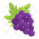پیش‌نمایش فایل grapes-5470704 از پک غذا