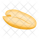 پیش‌نمایش فایل peanut-5470718 از پک غذا