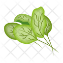 پیش‌نمایش فایل spinach-5470720 از پک غذا