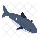 پیش‌نمایش فایل fish-5641616 از پک کشتی دزدان دریایی