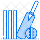 پیش‌نمایش فایل cricket-2580645 از پک سرگرمی‌ها