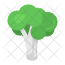 پیش‌نمایش فایل broccoli-2722724 از پک غذا