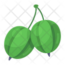پیش‌نمایش فایل gooseberries-2722694 از پک غذا