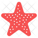 پیش‌نمایش فایل starfish-2809535 از پک تغذیه
