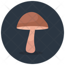 پیش‌نمایش فایل oyster-mushroom-3152138 از پک غذا