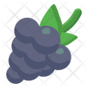 پیش‌نمایش فایل blackcurrant-3170394 از پک فصل‌ها