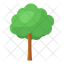 پیش‌نمایش فایل forest-tree-3170402 از پک فصل‌ها