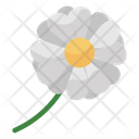پیش‌نمایش فایل jasmine-flower-3170390 از پک فصل‌ها